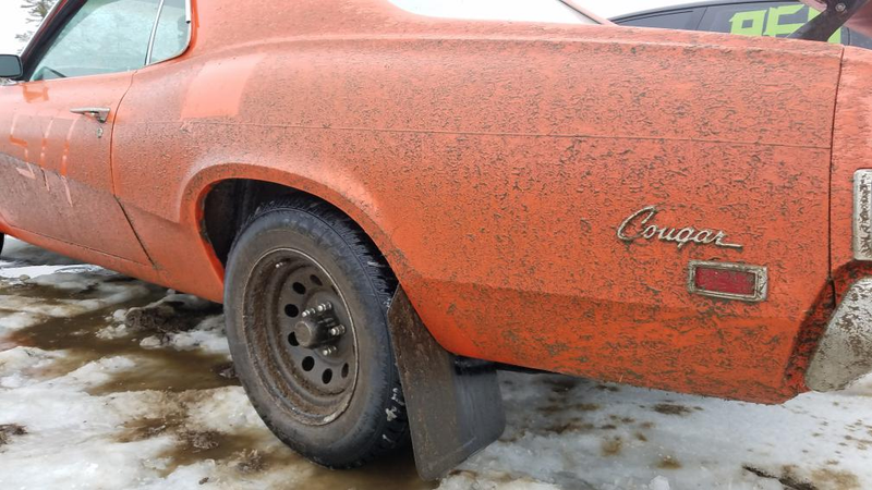 Illustration for article titled This Bored-Out Manual Swap Mercury Cougar Is ‘Objectively Horrible At Everything’ But Fun